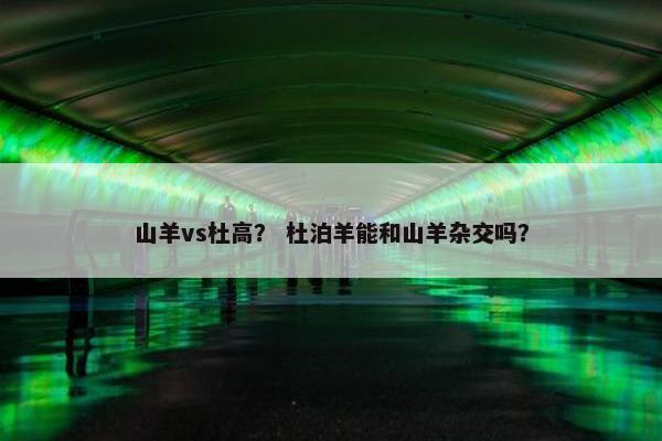 山羊vs杜高？ 杜泊羊能和山羊杂交吗？