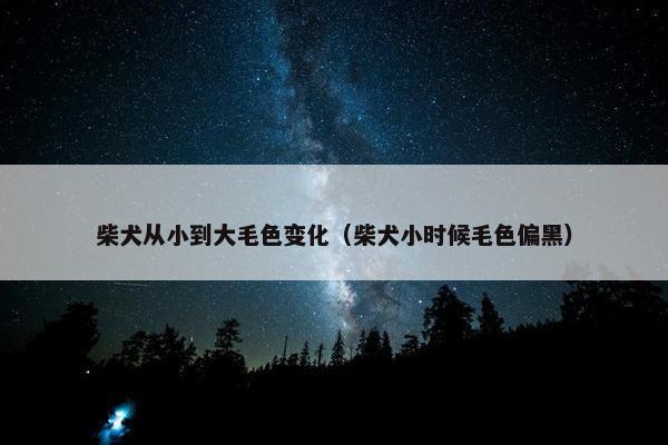 柴犬从小到大毛色变化（柴犬小时候毛色偏黑）