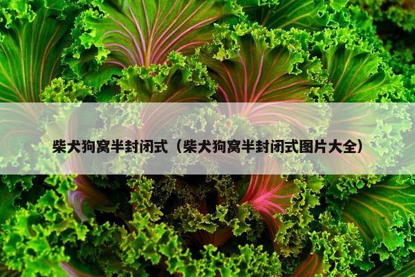 柴犬狗窝半封闭式（柴犬狗窝半封闭式图片大全）