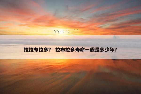 拉拉布拉多？ 拉布拉多寿命一般是多少年？
