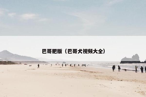 巴哥肥版（巴哥犬视频大全）