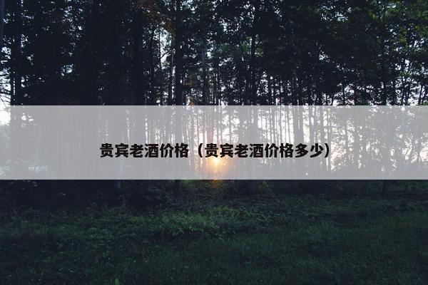 贵宾老酒价格（贵宾老酒价格多少）