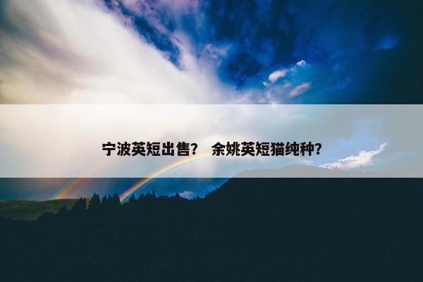 宁波英短出售？ 余姚英短猫纯种？