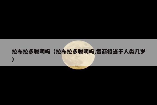 拉布拉多聪明吗（拉布拉多聪明吗,智商相当于人类几岁）