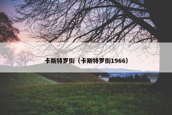 卡斯特罗街（卡斯特罗街1966）
