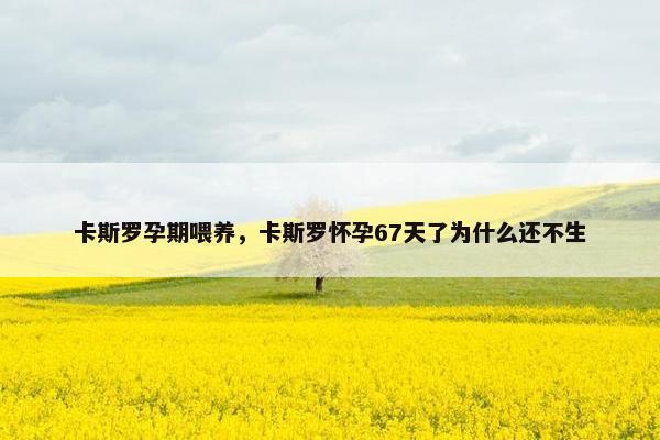 卡斯罗孕期喂养，卡斯罗怀孕67天了为什么还不生