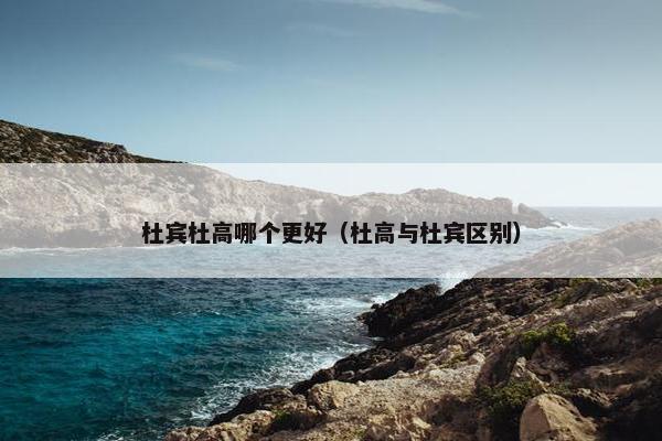 杜宾杜高哪个更好（杜高与杜宾区别）