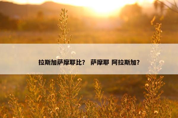 拉斯加萨摩耶比？ 萨摩耶 阿拉斯加？