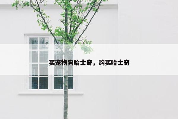 买宠物狗哈士奇，购买哈士奇