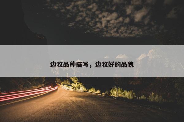 边牧品种描写，边牧好的品貌