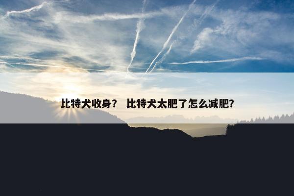 比特犬收身？ 比特犬太肥了怎么减肥？