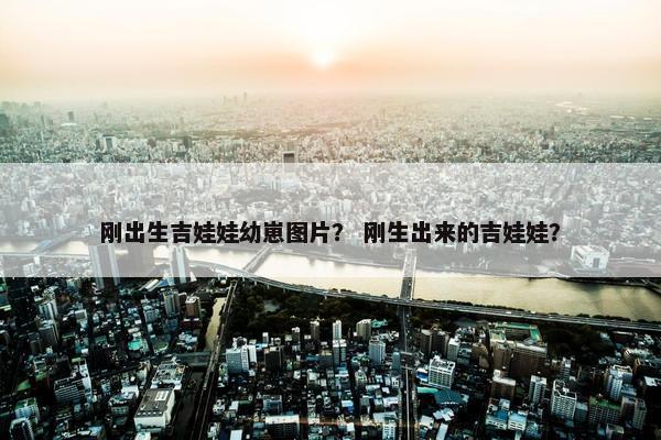 刚出生吉娃娃幼崽图片？ 刚生出来的吉娃娃？