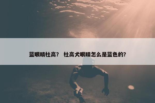 蓝眼睛杜高？ 杜高犬眼睛怎么是蓝色的？