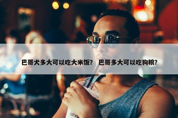 巴哥犬多大可以吃大米饭？ 巴哥多大可以吃狗粮？