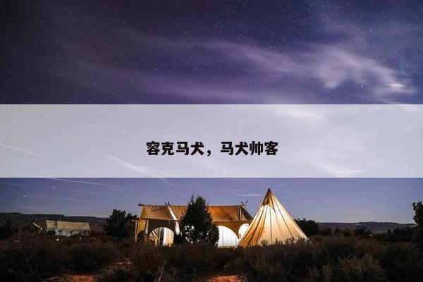 容克马犬，马犬帅客