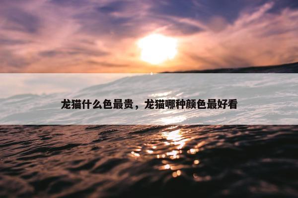 龙猫什么色最贵，龙猫哪种颜色最好看