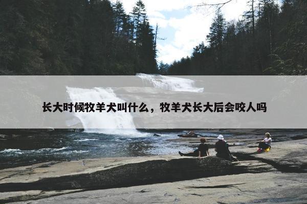 长大时候牧羊犬叫什么，牧羊犬长大后会咬人吗