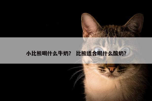 小比熊喝什么牛奶？ 比熊适合喝什么酸奶？