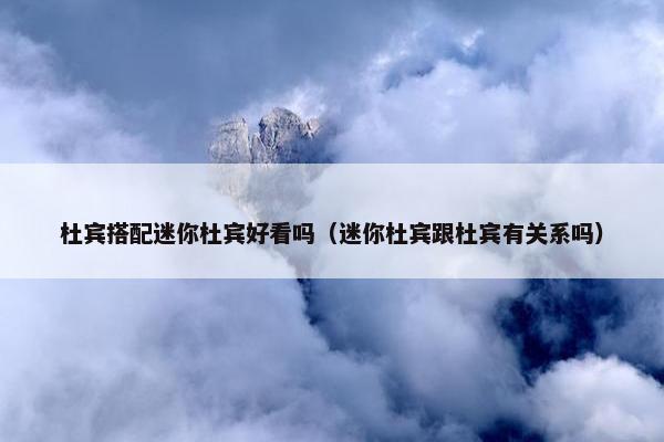 杜宾搭配迷你杜宾好看吗（迷你杜宾跟杜宾有关系吗）
