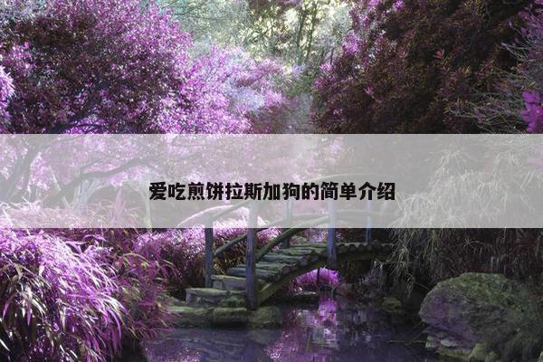 爱吃煎饼拉斯加狗的简单介绍