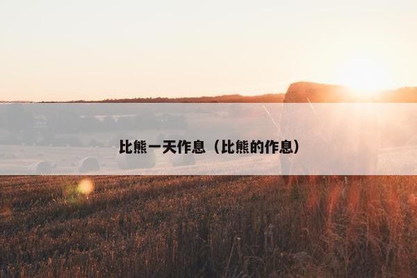 比熊一天作息（比熊的作息）