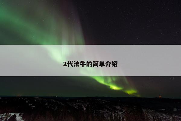2代法牛的简单介绍