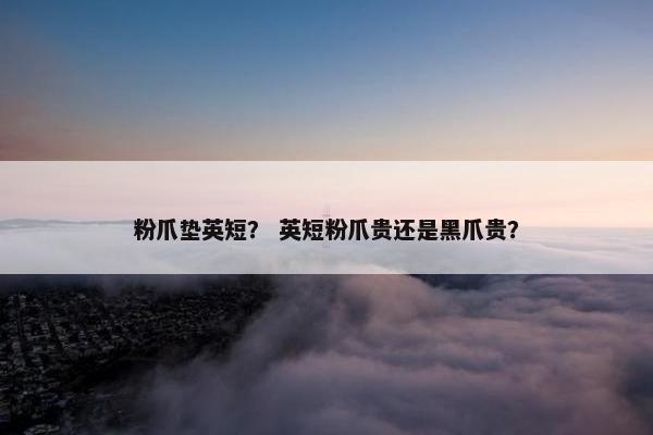 粉爪垫英短？ 英短粉爪贵还是黑爪贵？