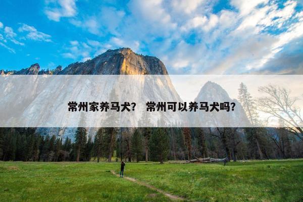 常州家养马犬？ 常州可以养马犬吗？