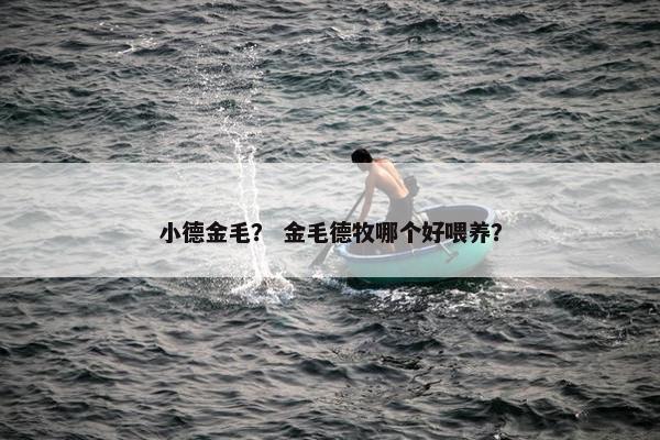 小德金毛？ 金毛德牧哪个好喂养？