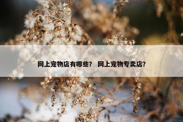 网上宠物店有哪些？ 网上宠物专卖店？