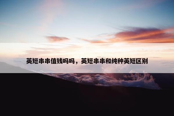英短串串值钱吗吗，英短串串和纯种英短区别