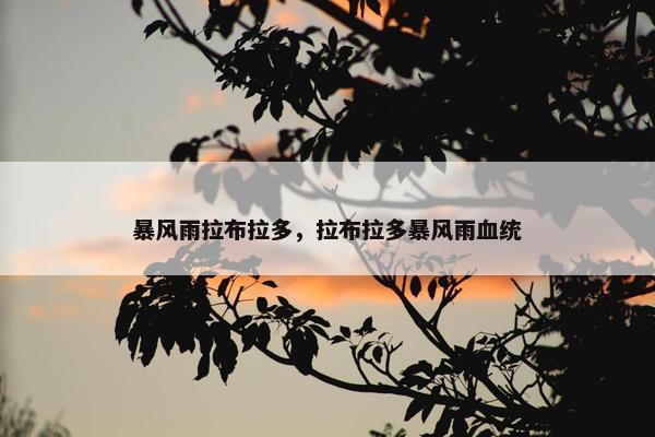 暴风雨拉布拉多，拉布拉多暴风雨血统