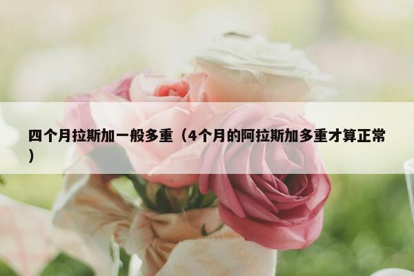 四个月拉斯加一般多重（4个月的阿拉斯加多重才算正常）