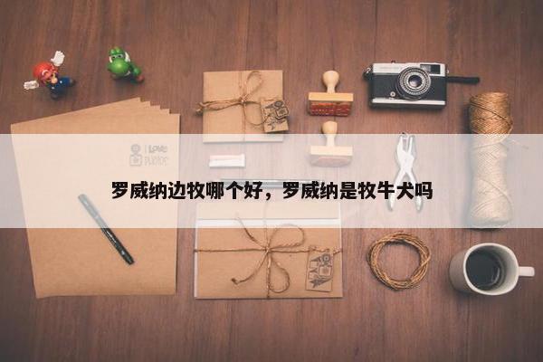 罗威纳边牧哪个好，罗威纳是牧牛犬吗