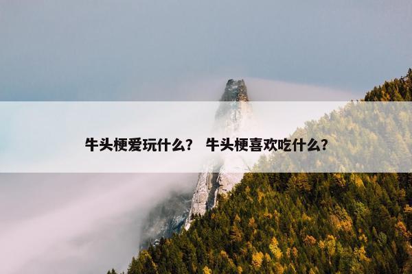 牛头梗爱玩什么？ 牛头梗喜欢吃什么？