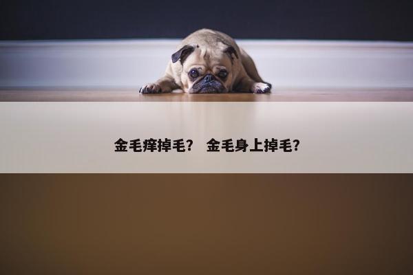 金毛痒掉毛？ 金毛身上掉毛？