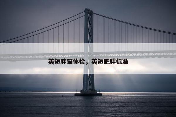 英短胖猫体检，英短肥胖标准