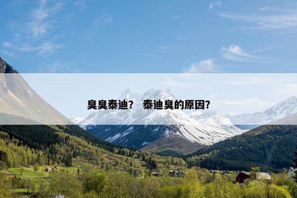 臭臭泰迪？ 泰迪臭的原因？