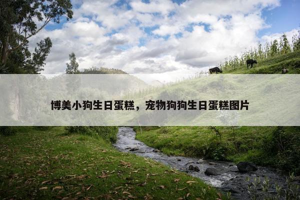 博美小狗生日蛋糕，宠物狗狗生日蛋糕图片