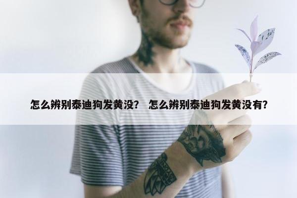 怎么辨别泰迪狗发黄没？ 怎么辨别泰迪狗发黄没有？