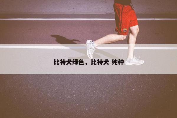 比特犬绿色，比特犬 纯种