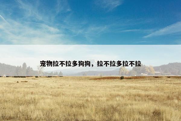 宠物拉不拉多狗狗，拉不拉多拉不拉