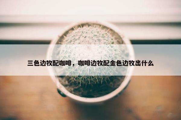 三色边牧配咖啡，咖啡边牧配金色边牧出什么
