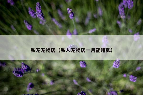 私宠宠物店（私人宠物店一月能赚钱）