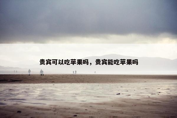 贵宾可以吃苹果吗，贵宾能吃苹果吗