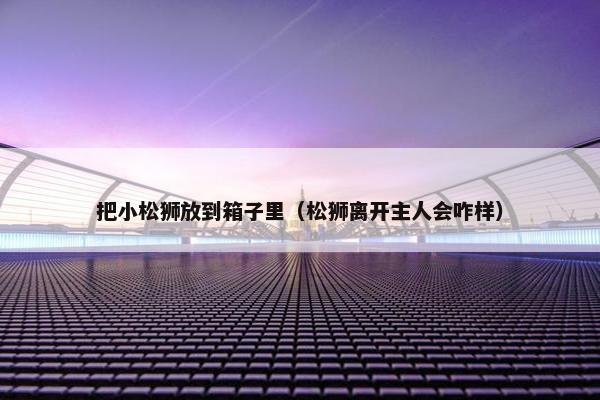 把小松狮放到箱子里（松狮离开主人会咋样）