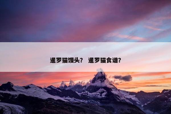 暹罗猫馒头？ 暹罗猫食谱？