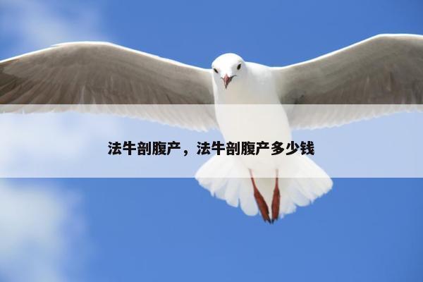 法牛剖腹产，法牛剖腹产多少钱