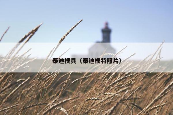 泰迪模具（泰迪模特照片）