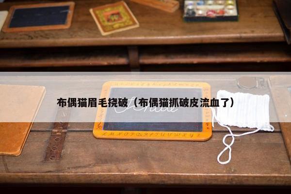 布偶猫眉毛挠破（布偶猫抓破皮流血了）